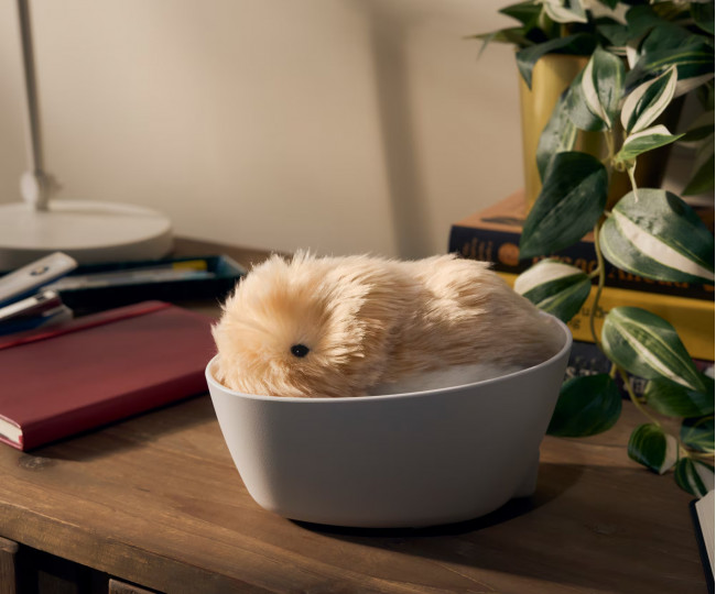 Робот-питомец Casio AI Pet Moflin Color: GOLD